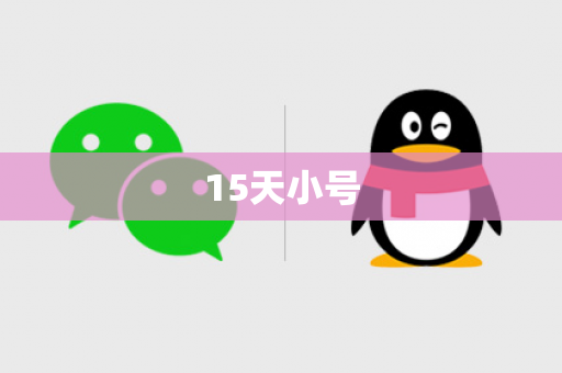 15天小号