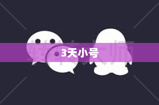 3天小号
