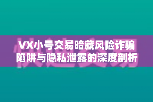 VX小号交易暗藏风险诈骗陷阱与隐私泄露的深度剖析
