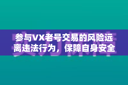 参与VX老号交易的风险远离违法行为，保障自身安全