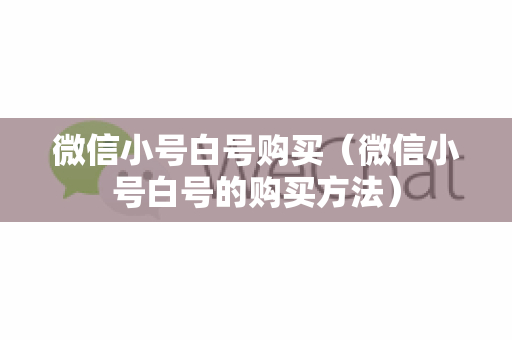 微信小号白号购买（微信小号白号的购买方法）