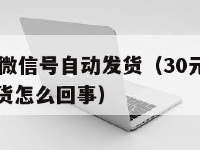 30元一个微信号自动发货（30元一个微信号自动发货怎么回事）