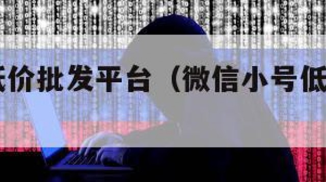 vx小号低价批发平台（微信小号低价批发平台）
